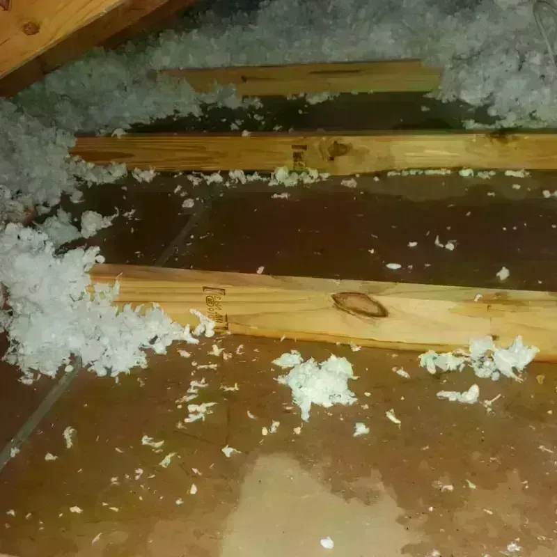 Attic Water Damage in Odessa, MO