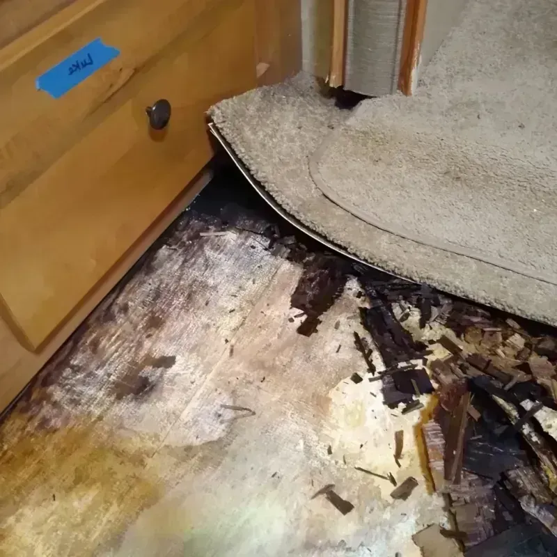 Wood Floor Water Damage in Odessa, MO